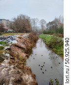 Кайсаров ручей в Вологде осенью (2023 год). Стоковое фото, фотограф Мария Сергеева / Фотобанк Лори