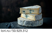 mold blue cheese ai generated. Стоковое AI-изображение, AI-художник Vectorwin / Фотобанк Лори
