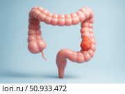 Anatomical Illustration of the Human Colon with a Focus on Abnormal Growth or Tumor Highlighting the Importance of Digestive Health. Стоковое AI-изображение, AI-художник Башкирова Анна / Фотобанк Лори