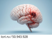 Clean medical visualization of human brain with highlighted ischemic stroke, created in 3D digital style on blue background. 3D Brain Illustration Showing Ischemic Stroke. Стоковое AI-изображение, AI-художник Башкирова Анна / Фотобанк Лори