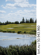 Поля для гольфа, Sviyaga Hills Golf Club. Стоковое фото, фотограф Людмила Гращенкова / Фотобанк Лори