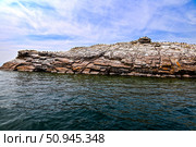 Озеро Байкал. Поселение бакланов на острове Ижилхей (Еленка) Стоковое фото, фотограф Александр Тараканов / Фотобанк Лори