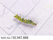 Ripe green pepper corn branch. Стоковое фото, фотограф Андрей Старостин / Фотобанк Лори