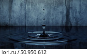 osmosis absorbing water drop ai generated. Стоковое AI-изображение, AI-художник Vectorwin / Фотобанк Лори
