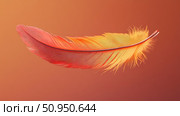 plumage orange feather ai generated. Стоковое AI-изображение, AI-художник Vectorwin / Фотобанк Лори
