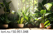 bonsai exotic plants ai generated. Стоковое AI-изображение, AI-художник Vectorwin / Фотобанк Лори