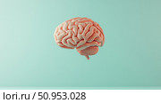 memory floating brain ai generated. Стоковое AI-изображение, AI-художник Vectorwin / Фотобанк Лори