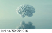 perception floating brain ai generated. Стоковое AI-изображение, AI-художник Vectorwin / Фотобанк Лори