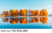 Majestic golden trees ablaze with autumn color perfectly mirrored in still blue lake, a peaceful morning nature scene for landscape art prints. Стоковое AI-изображение, AI-художник Данила Большаков / Фотобанк Лори