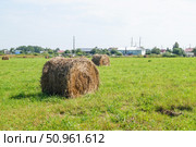 Рулоны сена в поле на фоне синего неба. Стоковое фото, фотограф Сергей Овчинников / Фотобанк Лори
