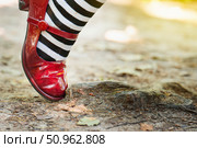 A child's foot in a striped sock and red shoe tripping over a tree root on a forest path during outdoor exploration. Стоковое фото, фотограф Татьяна Степанищева / Фотобанк Лори