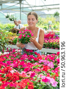 Portrait of satisfied woman with Vinca flowers in flower pot. Стоковое фото, фотограф Яков Филимонов / Фотобанк Лори