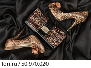 Leopard lacquer bag and leopard shoes on a black. Стоковое фото, фотограф Александр Собко / Фотобанк Лори