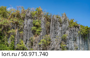 Steep karst cliffs against a clear blue sky. There is green tropical vegetation on the sheer, furrowed slopes. Philippines. Palawan. Стоковое фото, фотограф Вера Ивановна Кубарева / Фотобанк Лори