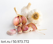 garlic heads and cloves on white background. Стоковое фото, фотограф Татьяна Яцевич / Фотобанк Лори