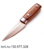 Close-Up of a Small, Sharp Knife With a Brown Wooden Handle. Generative AI. Стоковое AI-изображение, AI-художник Roman Zavorotny / Фотобанк Лори