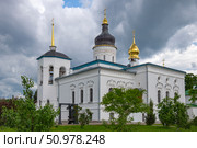 Старинный Собор Трех Святителей Великих крупным планом. Спасо-Елеазаровский женский монастырь. Елизарово, Псковская область. Стоковое фото, фотограф Анна Карасева / Фотобанк Лори