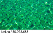 Beautiful background of green stones under clear water with sunlight reflections, natural texture from riverbed or clean lake bottom. Стоковое AI-изображение, AI-художник Павел Муравьев / Фотобанк Лори