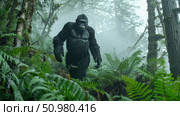 A solitary gorilla navigates the dense underbrush of a fog-laden forest, with lush greenery enveloping the scene. Стоковое AI-изображение, AI-художник Данила Большаков / Фотобанк Лори