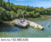 USS Plainview AGEN-1 ship wreck columbia. Стоковое фото, фотограф Mark Agnor / Фотобанк Лори