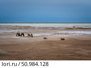 Sandy shores of the drying salt lake Baskunchak on a summer day, Nizhny Baskunchak, Akhtubinsky district, Astrakhan region, Russia. Стоковое фото, фотограф Ula Ulachka / Фотобанк Лори