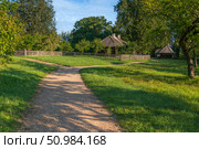 View of the traditional log Russian houses in the Mikhailovskoye estate of the Pushkin Museum-Reserve on a sunny summer day, Pushkinskiye Gory, Pskov region, Russia. Стоковое фото, фотограф Ula Ulachka / Фотобанк Лори