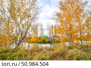 Город Заводоуковск. Речная старица осенью (2018 год). Стоковое фото, фотограф Александр Тараканов / Фотобанк Лори