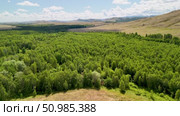 Bannoe Center, Russian Federation - July 27, 2025: Expansive aerial view of lush green forest and rolling hills under bright blue sky showcasing natural beauty and tranquility. Редакционное видео, видеограф Ирина Ручушкина / Фотобанк Лори