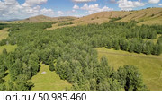 Bannoe Center, Russian Federation - July 27, 2025: Expansive aerial view of lush green forest and rolling hills under bright blue sky showcasing natural beauty and tranquility. Редакционное видео, видеограф Ирина Ручушкина / Фотобанк Лори