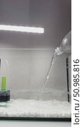 Pour clean water from a bottle into a new aquarium. Стоковое видео, видеограф Кашапова Эльвира / Фотобанк Лори