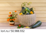Freshly picked zucchini in a large wicker basket on a country bench next to a bouquet of marigolds in a clay pot. Rural still life. Growing organic vegetables. Стоковое фото, фотограф Виктория Катьянова / Фотобанк Лори