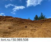 Ласточкины гнёзда в песке. Стоковое фото, фотограф Регина Хафизова / Фотобанк Лори