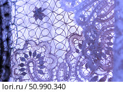 Detailed image capturing the intricate craftsmanship of a lace pattern with floral design in shades of purple. Стоковое фото, фотограф Алла Чесноковва / Фотобанк Лори
