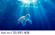 Adorable Sea Turtle Swimming in Sunlit Ocean Depths: A Captivating Underwater Scene. Стоковое AI-изображение, AI-художник Данила Большаков / Фотобанк Лори