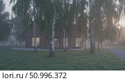 Minimalist wooden dwelling surrounded by misty birch forest, warm sunrise glow softening foggy landscape with gentle, dreamy illumination. Стоковое AI-видео, аниматор Данил Руденко / Фотобанк Лори