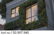 Lush greenery enveloping a contemporary San Francisco residence creates a striking vertical garden that enhances warmly lit windows and promotes sustainable living. Стоковое AI-видео, аниматор Данил Руденко / Фотобанк Лори