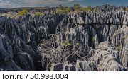 A unique rocky landscape. Gray karst cliffs with steep slopes and sharp peaks stretch to the horizon. Green vegetation. Blue sky, clouds. Madagascar. Tsingy De Bemaraha. Stone Forest. Стоковое фото, фотограф Вера Ивановна Кубарева / Фотобанк Лори