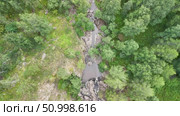 Aerial perspective of lush forest featuring diverse green trees and patches of lighter foliage, emphasizing the rich textures and vibrant colors of nature. Стоковое видео, видеограф Ирина Ручушкина / Фотобанк Лори