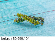 Ripe green pepper corn branch. Стоковое фото, фотограф Андрей Старостин / Фотобанк Лори