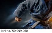 Martial artist in blue gi performs a powerful punch, showcasing strength and technique against a dramatic dark background, embodying the spirit of martial arts and determination. Стоковое AI-изображение, AI-художник Ирина Ручушкина / Фотобанк Лори