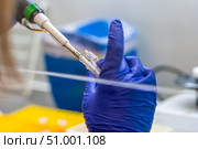 Scientist pipetting sample into vial for DNA testing. Scientist loads samples DNA monkeypox amplification by PCR into plastic strip tubes. Biochemistry specialist works with lab equipment. Стоковое фото, фотограф Данила Большаков / Фотобанк Лори