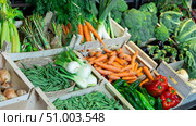 Stand of boxes full of fresh vegetables in greengrocery. Стоковое фото, фотограф Яков Филимонов / Фотобанк Лори