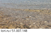 Shallow clear water over pebbles on beach, natural texture creating peaceful summer background. Стоковое видео, видеограф Анастасия Золотницкая / Фотобанк Лори