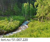Mountainous river meanders through the forest. Стоковое фото, фотограф Саблин Станислав / Фотобанк Лори