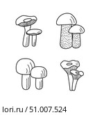 Set of mushroom icons. Illustration of boletus, chanterelles, honey mushrooms, champignons, aspen mushroom and russula. Стоковая иллюстрация, иллюстратор Глущенко Елена / Фотобанк Лори