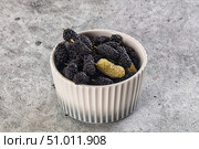 Ripe sweet juicy black and white mullberry. Стоковое фото, фотограф Андрей Старостин / Фотобанк Лори