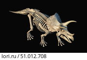 3D rendering of Triceratops skeleton. Стоковое фото, фотограф Leonello Calvetti/Stocktrek Images / ТАСС / Фотобанк Лори
