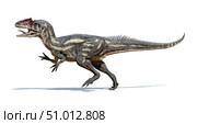Allosaurus dinosaur on white background. Стоковое фото, фотограф Leonello Calvetti/Stocktrek Images / ТАСС / Фотобанк Лори