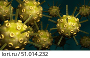 Conceptual biomedical illustration of the herpes simplex virus. Стоковое фото, фотограф Stocktrek Images, Inc. / ТАСС / Фотобанк Лори