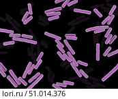 Microscopic x-ray view of Clostridium perfringens bacteria. Стоковое фото, фотограф Stocktrek Images, Inc. / ТАСС / Фотобанк Лори